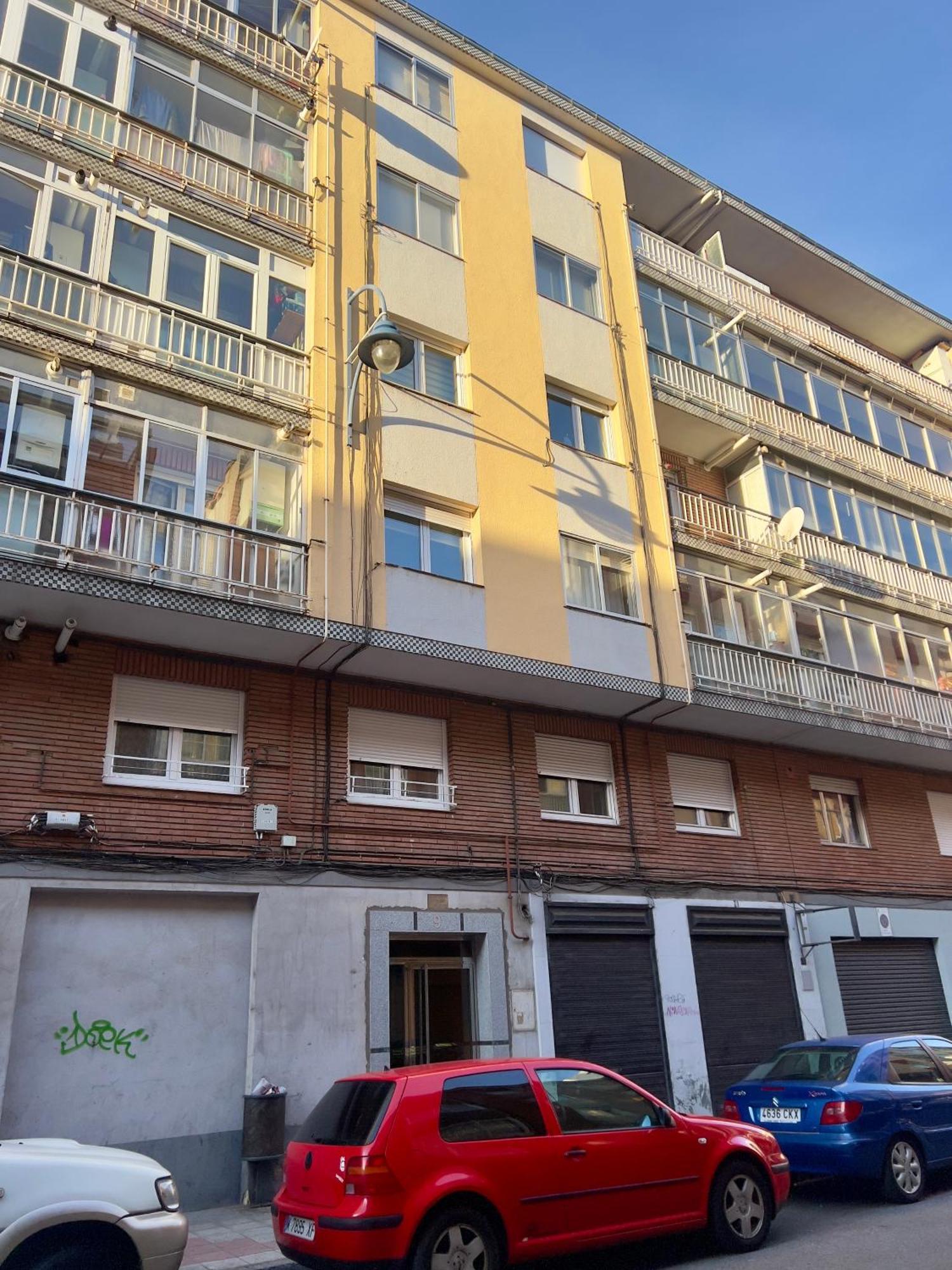 Lindo Pisito Leão Exterior foto